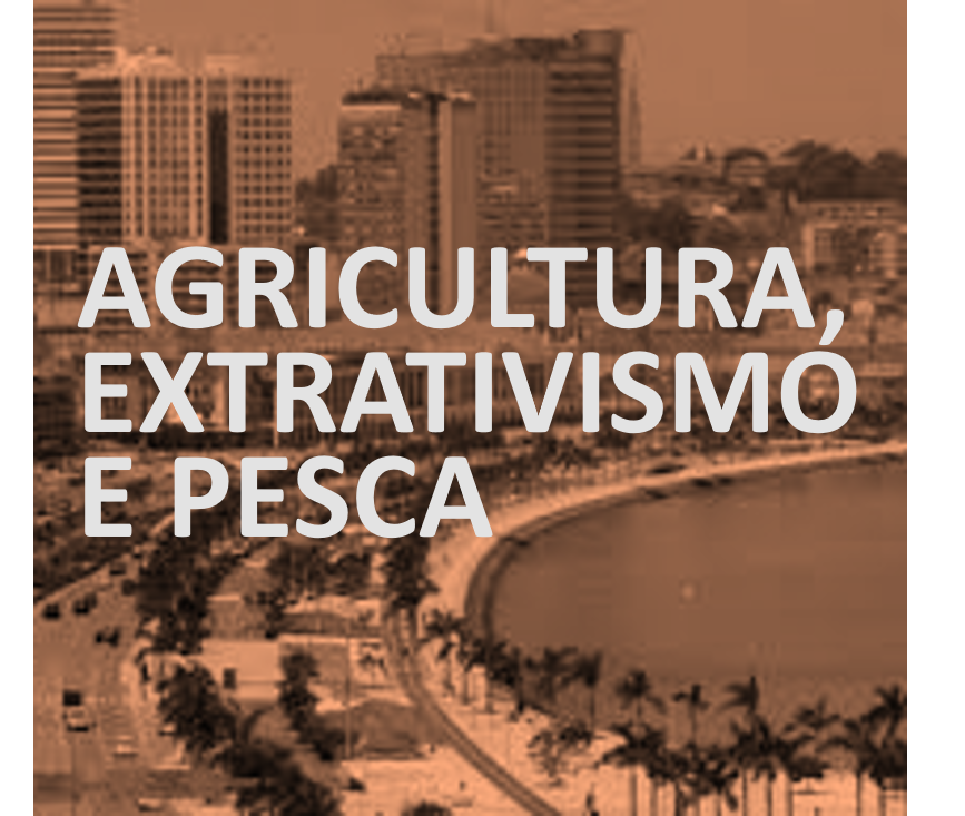 Categoria Agricultura, Extrativismo e Pesca