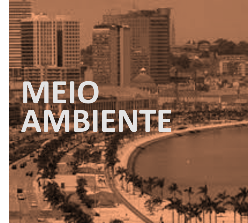 Categoria Meio Ambiente