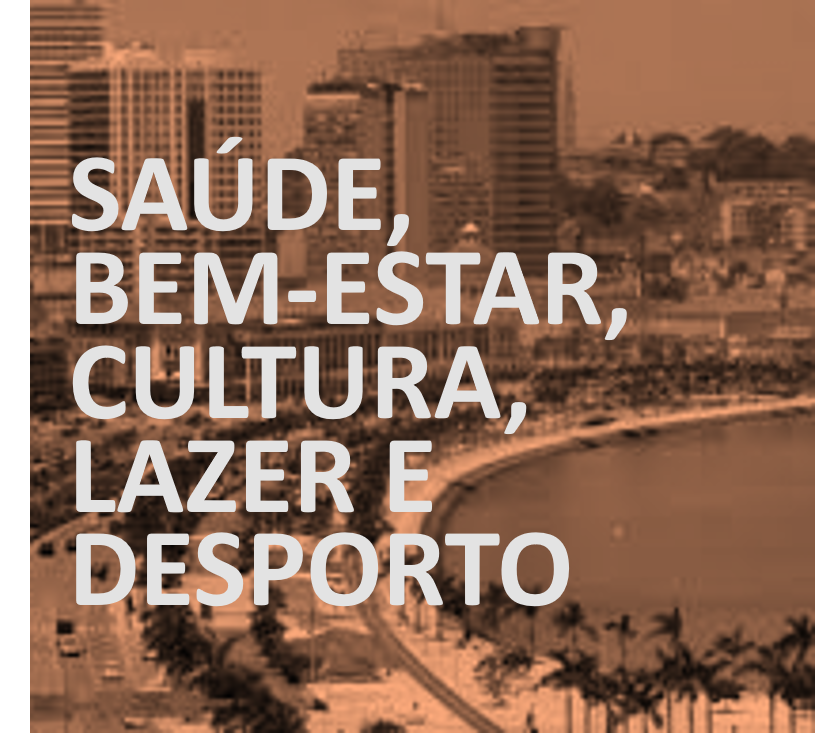 Categoria Saúde, Bem-Estar, Cultura, Lazer e Desporto